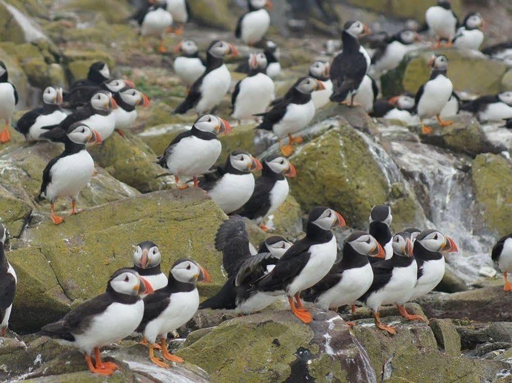 Farne Island Rooms Seahouses Zewnętrze zdjęcie